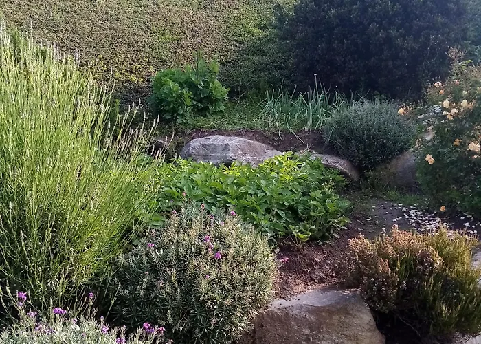 Le Domaine Du Cotis Villa Tourlaville